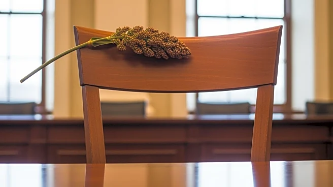 Sorghum Chair Amy France Advocates for Farmers on Capitol Hill