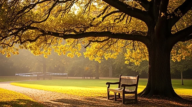 Donald J. Clinkert Passes Away at 87, Leaving a Legacy in Glen Ellyn