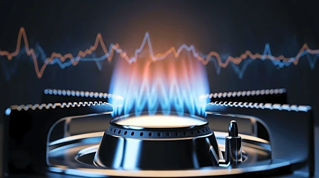 Iran Tensions Cause 77% Surge in LNG Prices, Highlighting Asia's Fuel Vulnerability