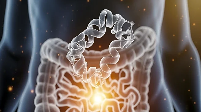 MIT Scientists Identify Gut Protein with Antimicrobial Properties, Potential for Therapeutic Use