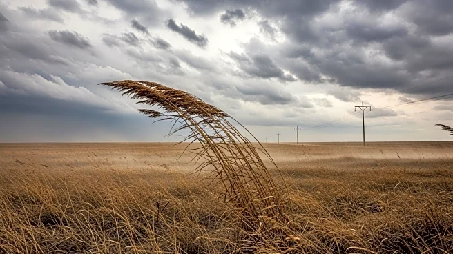 High Winds Cause Significant Disruptions Across North Texas