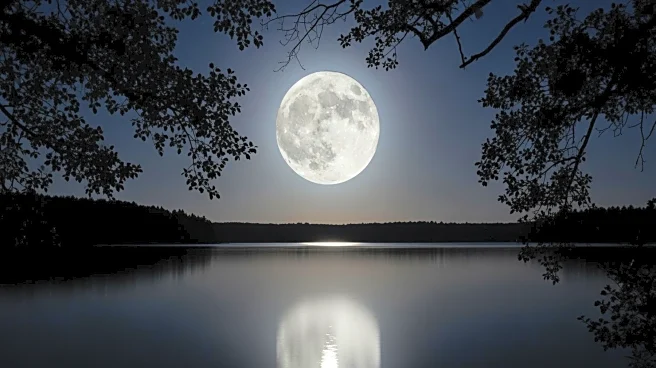 Ex-FBI Agent Suggests Moon Phases Could Explain Photo Differences in Nancy Guthrie Case