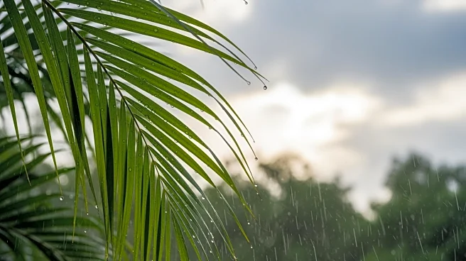 South Florida Experiences Showers on Wednesday with Improving Conditions Expected