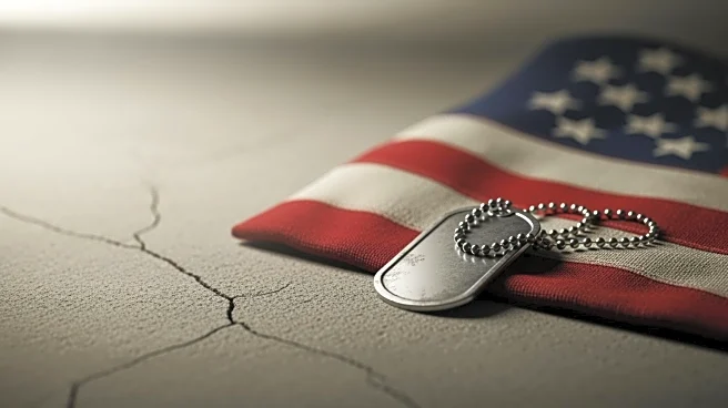 Noncitizen Veterans Face Deportation Despite Military Service, Highlighting Legal Gaps