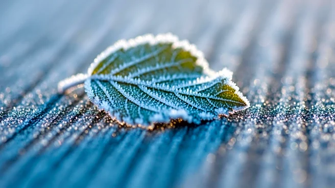 Philadelphia Braces for Chilly Wednesday Before Spring Warm-Up