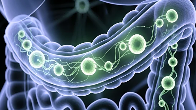 Research Identifies Gut Macrophages' Role in Parkinson's Disease