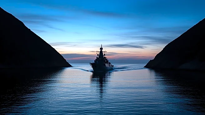 NATO Allies Reject President Trump's Call for Warship Support in Strait of Hormuz