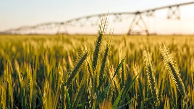 Nebraska Celebrates National Agriculture Week, Highlights Industry Innovations