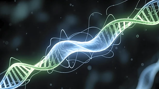 KAIST Researchers Discover RNA Removal Enzyme Extends Lifespan in C. elegans