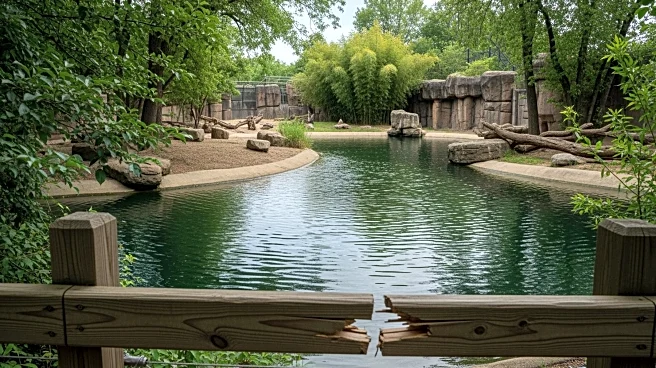 Man Arrested for Trespassing in Viral Hippo Moo Deng's Enclosure at Thai Zoo