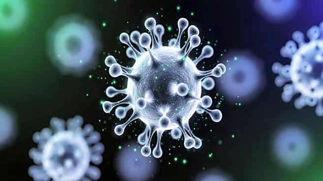 Virus Therapy Enhances Immune Response Against Glioblastoma