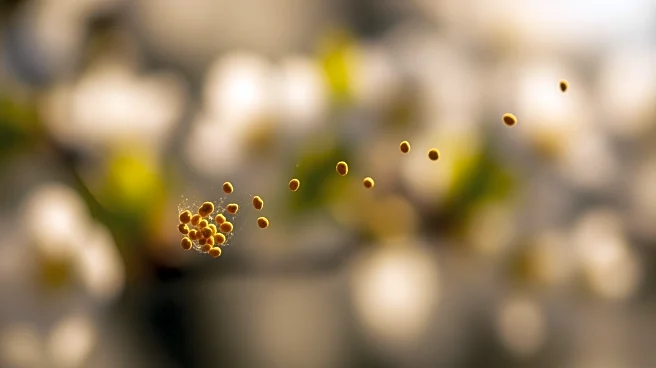 Rising Pollen Levels Intensify Seasonal Allergies Across the U.S.