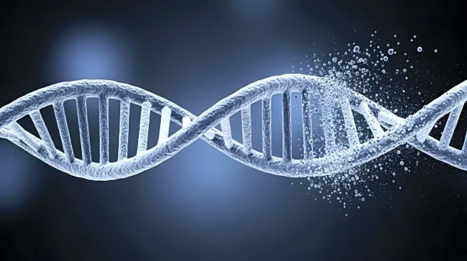 Research Reveals Y Chromosome Loss in Men Linked to Serious Health Risks