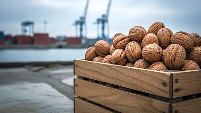 California Walnut Farmers Face Shipping Disruptions Due to Iran Conflict