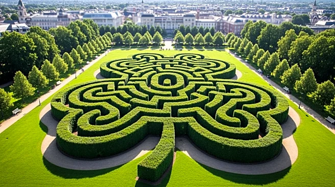 City of Dublin, Ohio Attempts Guinness World Record with Human Shamrock Formation
