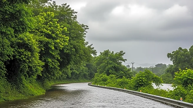 Hawaii Faces Worst Flooding in 20 Years, Prompting Mass Evacuations