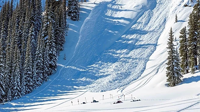 Avalanche in Northern Italy Claims Lives and Traps Skiers Near Austria Border