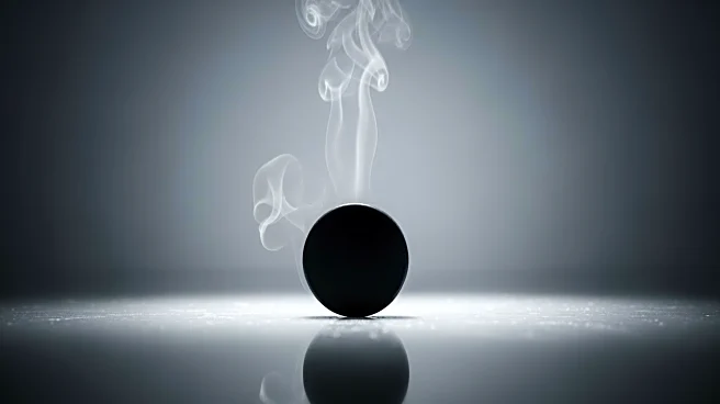 Hockey Reporter Jessi Pierce and Family Tragically Die in White Bear Lake Fire