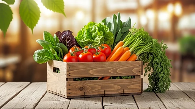 The Augusta Market Returns Downtown for 2026 Farmers Market Season