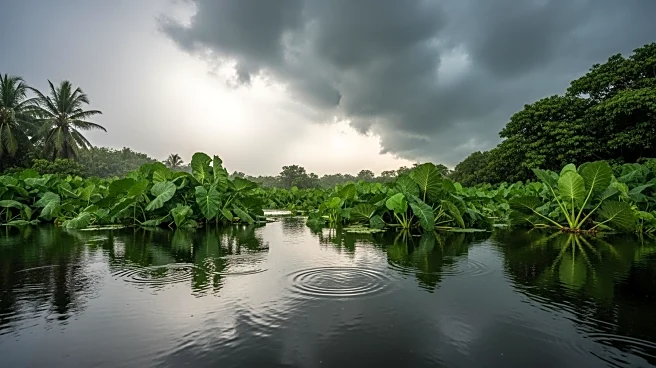 Hawaii Experiences Worst Flooding in Two Decades, Residents Under Flood Watch