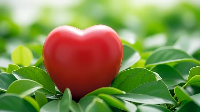 Study Suggests Small Lifestyle Changes Can Significantly Reduce Heart Attack Risk