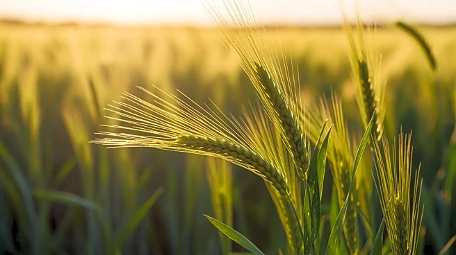 Agriculture Council of America Announces National Agriculture Day Celebrations with 'Together We Grow' Theme