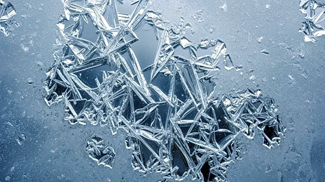 Trader Joe's Expands Frozen Food Recall Due to Glass Contamination Affecting 43 States