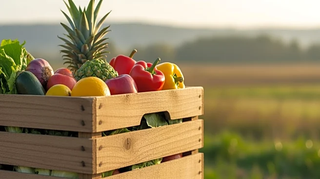 Israeli Humanitarian Efforts Highlighted Amid Ongoing Conflict and Food Insecurity