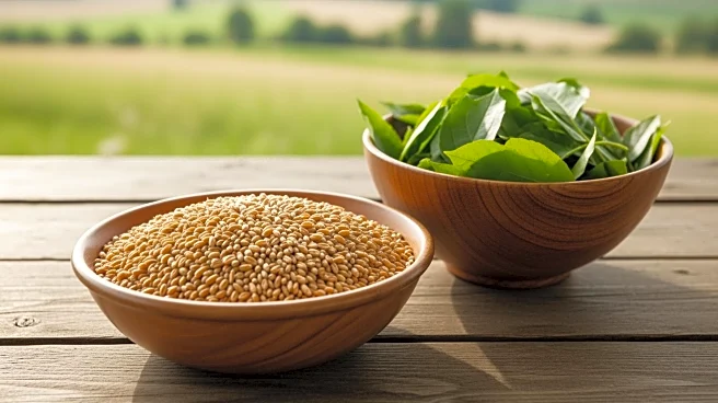 EU-Australia Trade Deal Faces Mixed Reactions from Agricultural Sectors