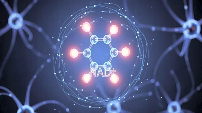 Researchers Highlight NAD+ Potential in Combating Alzheimer's and Parkinson's