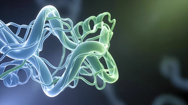 Research Team Unveils New Insights into Protein Synthesis and Folding