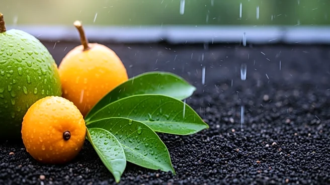 Hawaii Launches Disaster Relief Fund for Farmers Affected by Storms