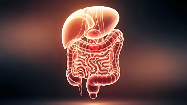 City of Hope and TGen Study Reveals Obesity's Role in Increasing Cancer Risk Through Organ Enlargement