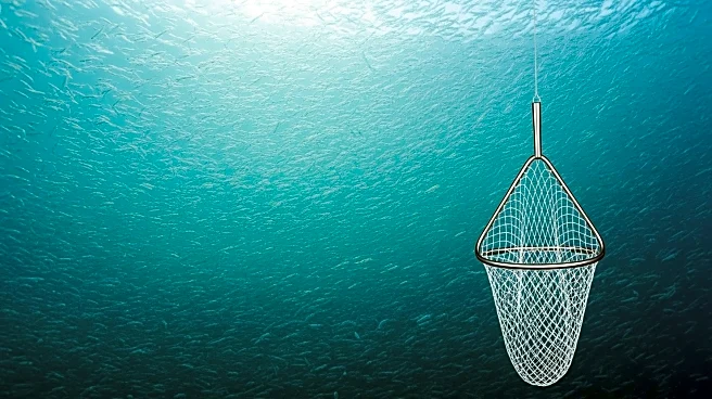 Sea Shepherd Campaigns Against Antarctic Krill Fishing Amid Environmental Concerns