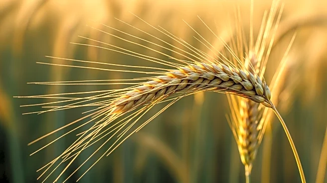 Fond du Lac Student Awarded $2,000 Agriculture Scholarship by Compeer Financial