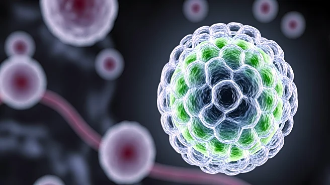 University of Pennsylvania Develops Modified Lipid Nanoparticles to Enhance mRNA Vaccine Delivery to Lymph Nodes