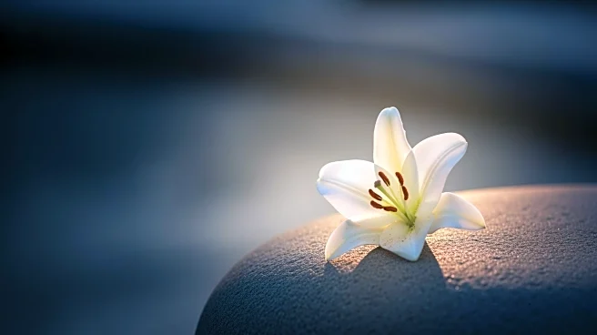 Martin McFadden Passes Away After Battle with Cancer