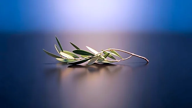 US and Israel Temporarily Remove Iranian Officials from Target List Amid Peace Talks