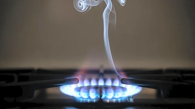 Study Reveals High Benzene Levels in European Cooking Gas, Raising Health Concerns