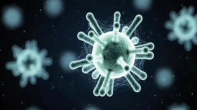 Researchers Identify Immune Cell Linked to Long COVID Symptoms