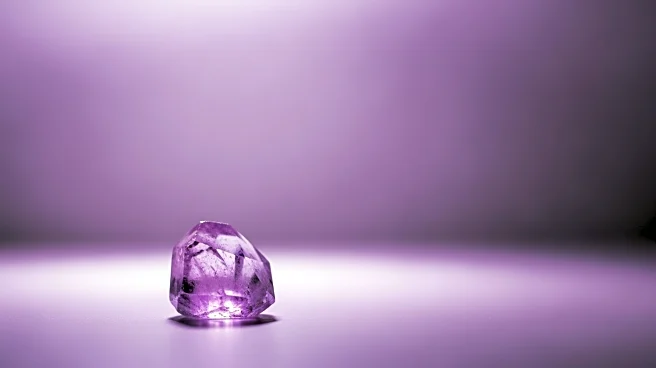 Colorado State Senate Recognizes Purple Day to Address Epilepsy-Related Death Reporting