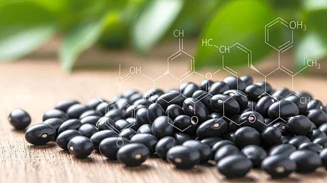 Falcon Trading Company Recalls Black Beans Over Pesticide Residue Concerns