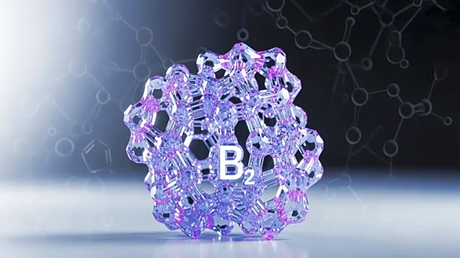 Vitamin B2's Role in Cancer Cell Survival Uncovered