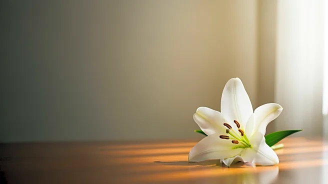 Gweneth F. Cheney Passes Away at 98, Funeral Service Announced