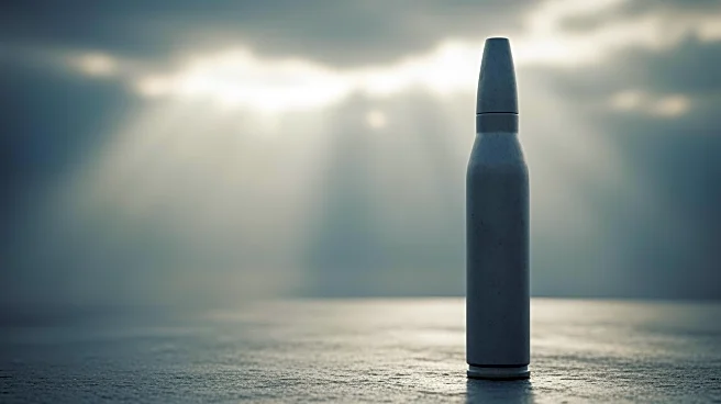 France Increases Munitions Spending by $10 Billion Amid Global Tensions