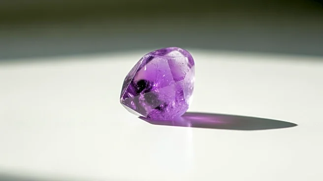 Colorado Senate Recognizes 'Purple Day' to Address Epilepsy Awareness and Reporting