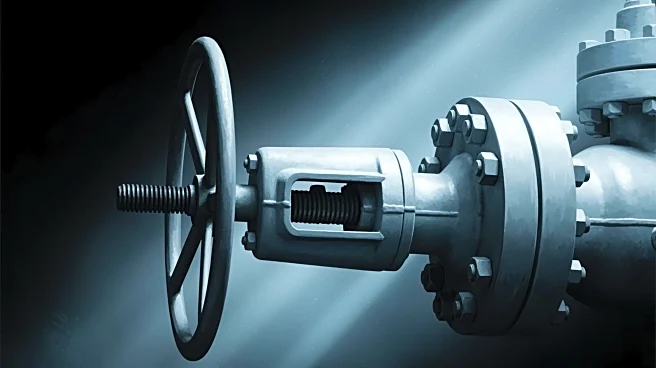 Russian Foreign Minister Accuses U.S. of Seeking Control Over Nord Stream Pipelines