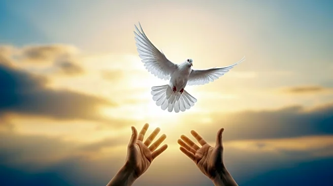 US Secretary of State Predicts End of Iran War in Weeks