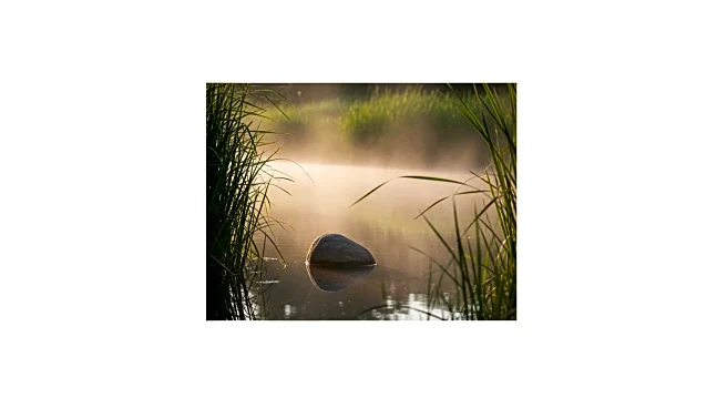 Marwell Zoo's Search for Runaway Capybara Samba Captivates Public Interest