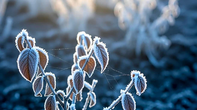 National Weather Service Issues Freeze Warnings Across Seven States, Threatening Agriculture and Public Safety